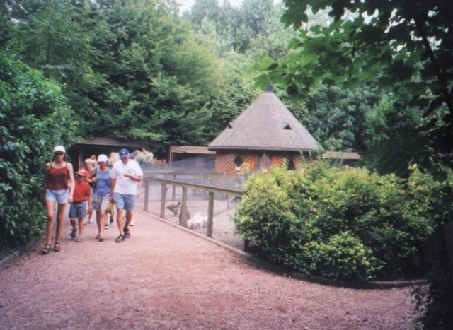  family walk in the park 